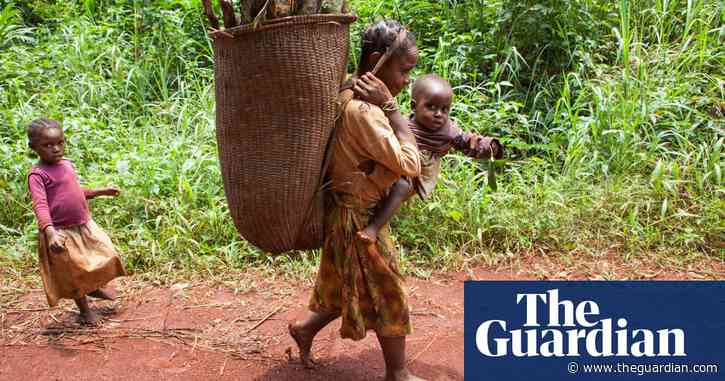 'You have stolen our forest': rights of Baka people in the Congo ignored