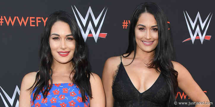 Nikki & Brie Bella Are Serious About Their Return To The WWE