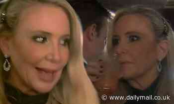 Real Housewives Of Orange County: Shannon Beador gets completely 'hammered' at vow renewal reception