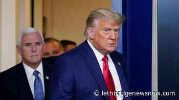 Trump pardons Flynn, taking direct aim at Russia probe - Lethbridge News Now