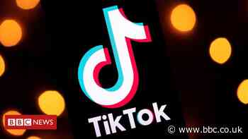 TikTok offers feature to avoid seizure triggers