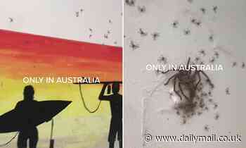 Terrifying moment Australian woman finds massive spider infestation hidden behind wall painting 
