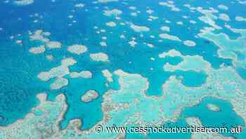 La Nina ramps up Great Barrier Reef risks - Cessnock Advertiser
