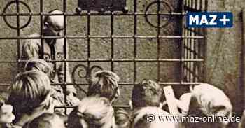 Qualvolle Stunden für Dora von Nessen im Pranger von Oschatz - Märkische Allgemeine Zeitung