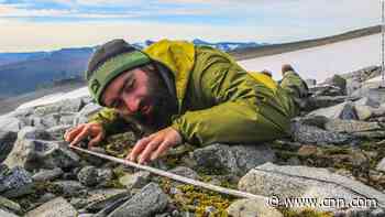 Norway ice melt reveals 'frozen archive' of ancient reindeer-hunting arrows