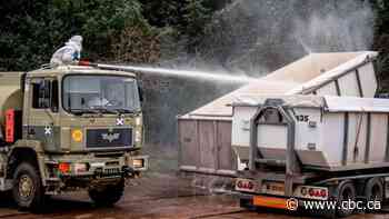 Culled minks resurface after burial in Denmark