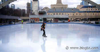 Here's how to make reservations for outdoor skating rinks in Toronto - blogTO