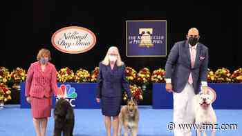 National Dog Show Looks Different Thanks to COVID-19, But Show Goes On