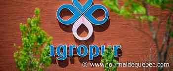 Agropur licencie une vingtaine de personnes en informatique