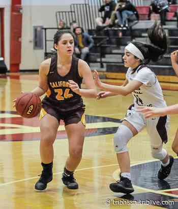 Young, tall team returns for Greensburg Central Catholic girls basketball | Trib HSSN - TribLIVE