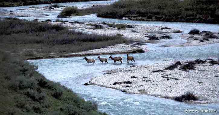 New migration maps serve as tools to help big game in West
