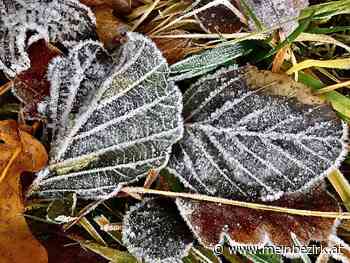 NOVEMBERZEIT: DER FROST GRÜßT UNS JEDEN MORGEN - meinbezirk.at