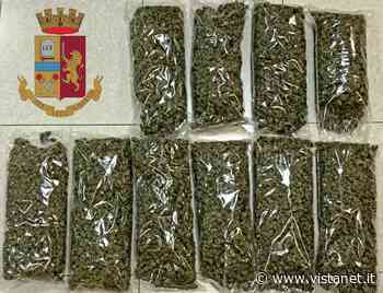 Villacidro, recuperati dieci kg di erba| Cagliari - vistanet