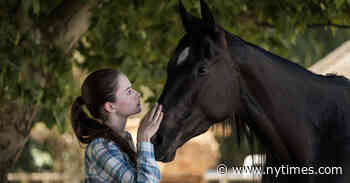 ‘Black Beauty’ Review: A Melodrama in Need of Rougher Edges