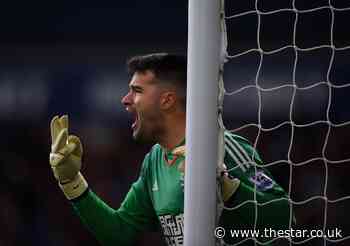 Sheffield Wednesday dealt blow as former Premier League keeper turns down coaching role - The Star
