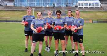 Hawks announce all-female VFLW coaching panel - Hawthorn FC