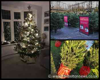 Where to get a real Christmas tree in Bolton