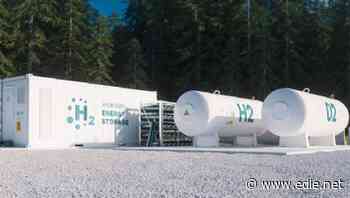 Renewable or 'low-carbon'? EU countries face off over hydrogen