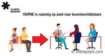 HERNE is naarstig op zoek naar burenbemiddelaars - Editiepajot