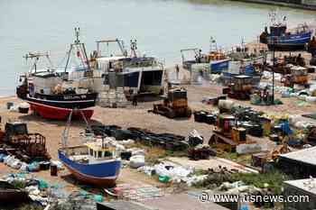 EU to Offer UK Fish Deal in Bid to Break Brexit Deadlock: RTE