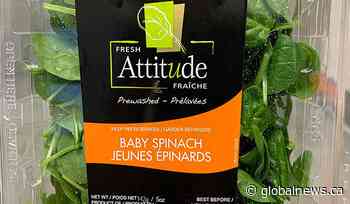 Fresh Attitude baby spinach recalled in Quebec, Ontario over possible salmonella risk