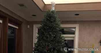 Mum shares hilarious result after toddler decorates gran's Christmas tree