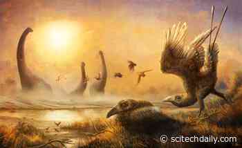Hidden Diversity During the Age of Dinosaurs Revealed by Early Bird With Tall, Sickle-Shaped Beak