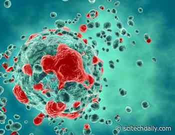 Simulations Identify New Way to Reverse Natural Aging Process in Cells