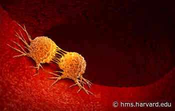 Cancer Crosstalk - Harvard Medical School