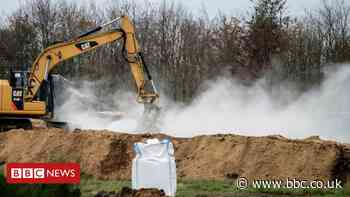 Coronavirus: Calls in Denmark to dig up millions of dead mink