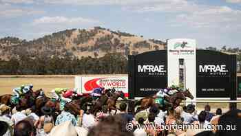 Crowds won't be seen outside in the heat for Wodonga Gold Cup - The Border Mail