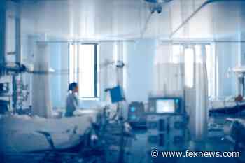 LIVE UPDATES: Coronavirus hospitalizations surge as CDC makes grim death toll prediction - Fox News