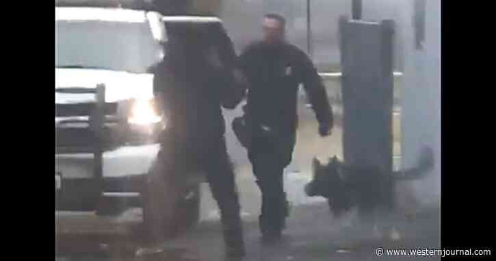 Punk Slugs Cop Out of the Blue, Officer Opens Cruiser Door and Lets ‘Lee’ Handle Him