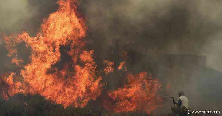 BLM releases plan to reduce massive wildfires in the West