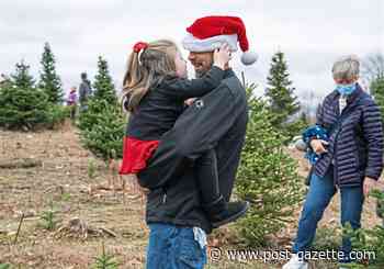 Christmas comes early for Black Friday tree shoppers