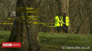 Bolton park stab death: Woman killed girl, 7 - BBC News