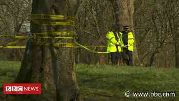 Bolton park stab death: Child-killer 'missed taking medication' - BBC News