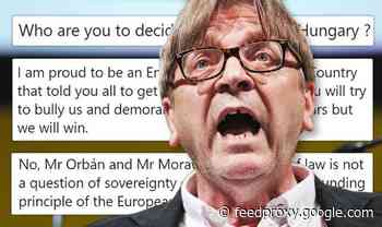 'Embarrassment for EU!' Verhofstadt sparks backlash after stepping in over Brussels crisis