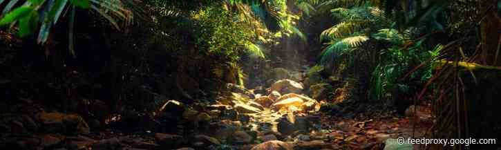 Werkenbij-websites: welke van deze 5 soorten zet je in?