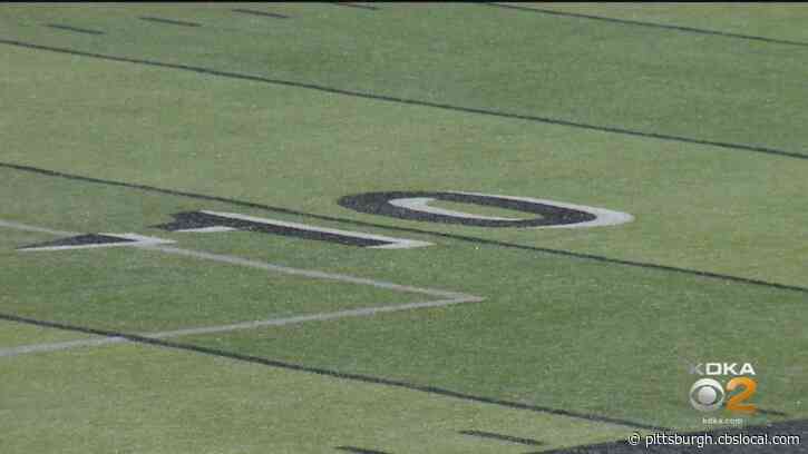 Pine-Richland And Central Valley Take Home PIAA Football State Titles