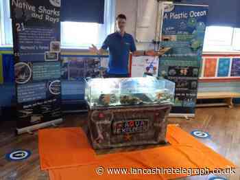 Aqualease: Blackburn aquarium rental firm sees surge in demand