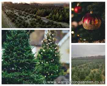 This is where to get a real Christmas tree in Warrington