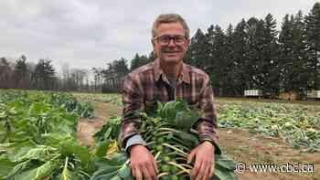 Farmers' market operators say new lockdown regulations unfairly forcing them outdoors
