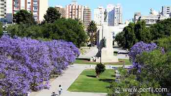 La Ciudad de Buenos Aires deberá plantar 100 mil árboles anuales por ley - Perfil.com