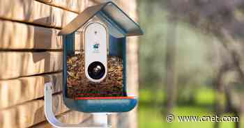 Smart bird feeder snaps bird selfies for collectible game and conservation tool     - CNET