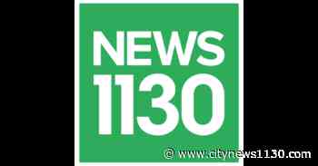 Las Vegas tourism slumps as coronavirus surges - NEWS 1130 - News 1130