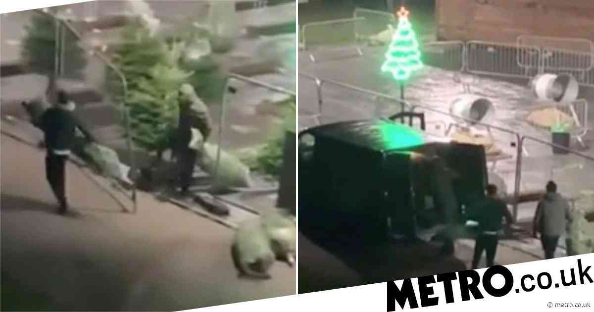 ‘Brazen’ thieves caught on CCTV stealing over £3,000 worth of Christmas trees