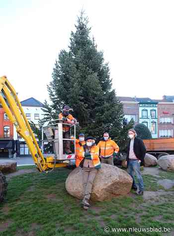 Kaukasische kerstboom van twaalf meter siert Grote Markt