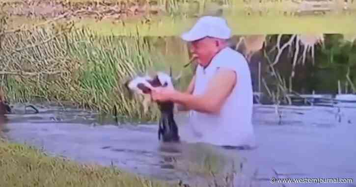 Man Jumps into Murky Pond, Literally Pries Dog from Gator’s Jaws