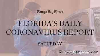 Florida adds 6,277 coronavirus cases, 81 deaths Saturday - Tampa Bay Times